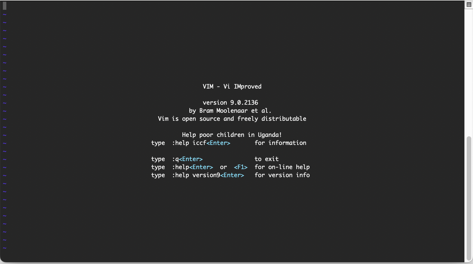 VIM