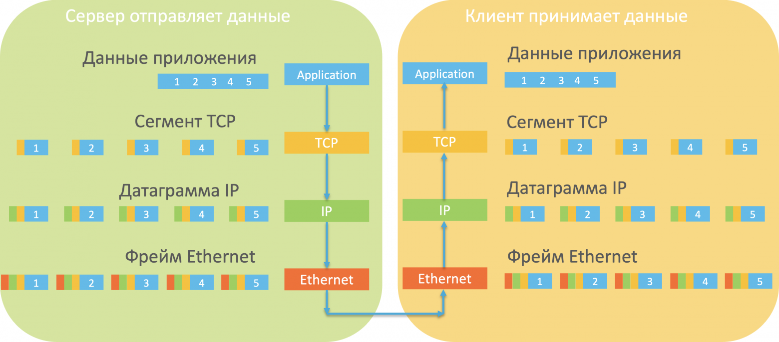 Segment, datagramm and frame datagramm